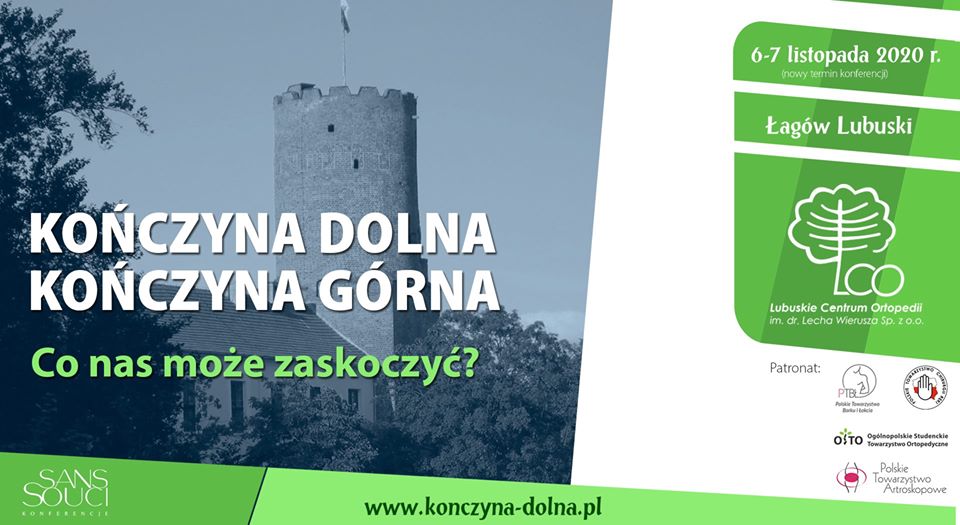 Kończyna dolna. Kończyna górna